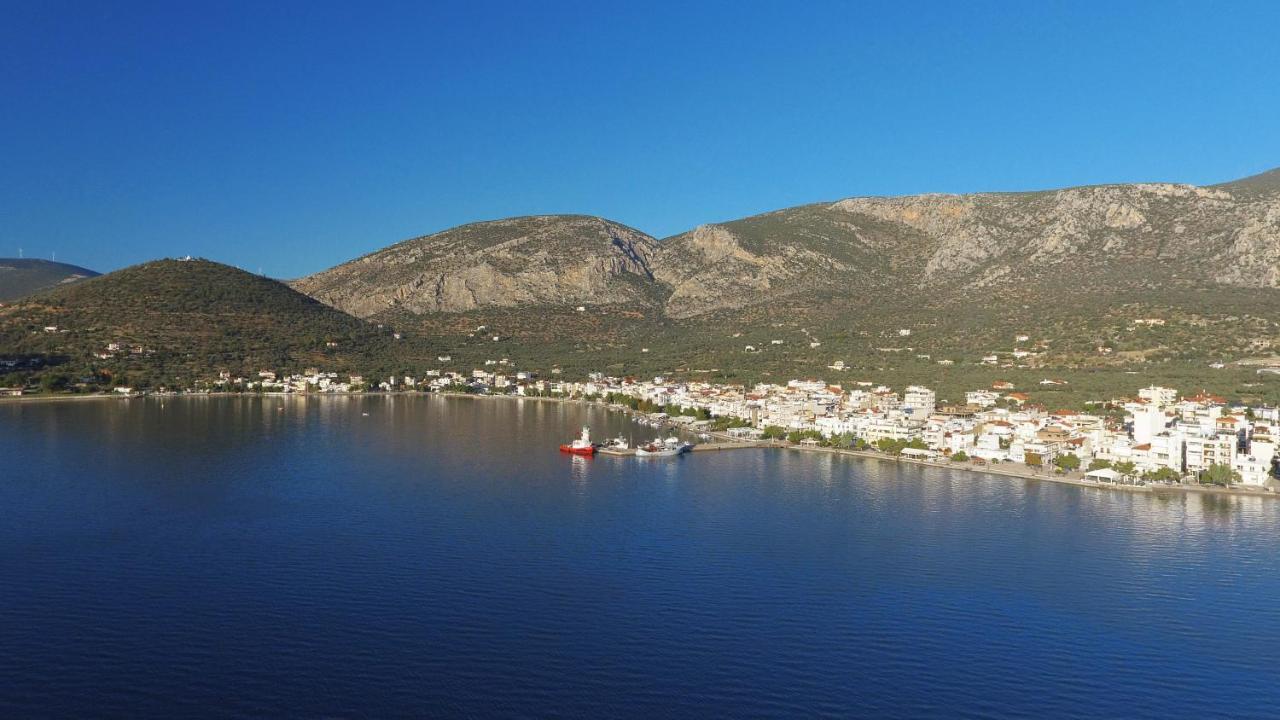 Antikyra Beach Hotel Exterior foto